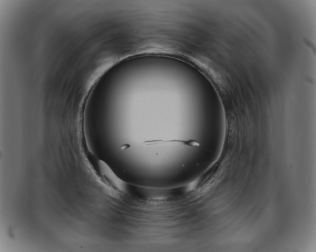 X0000097591375200802291208