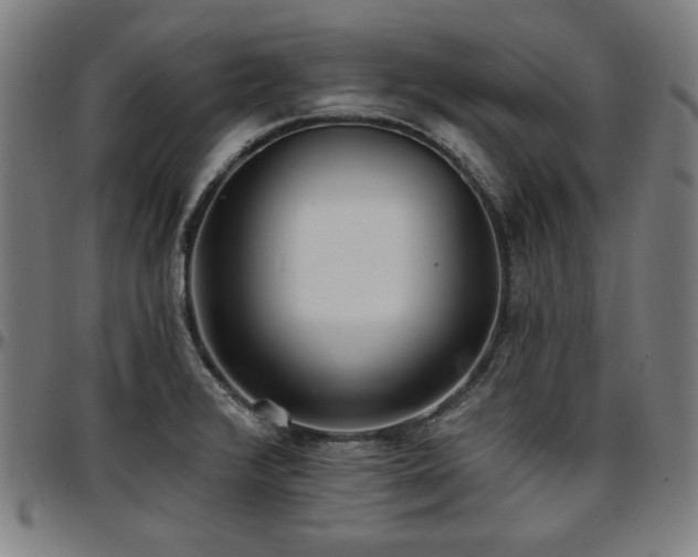 X0000097591376200802291208