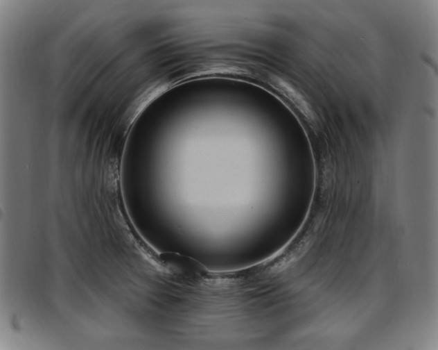 X0000097591377200802291208