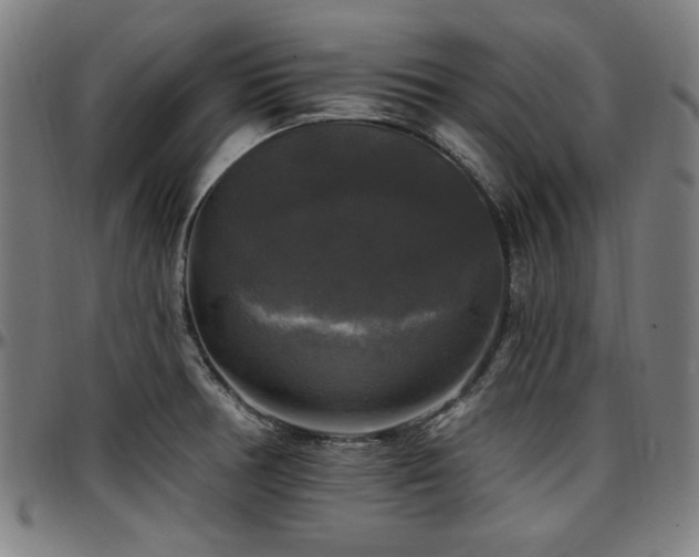 X0000097591378200802291208