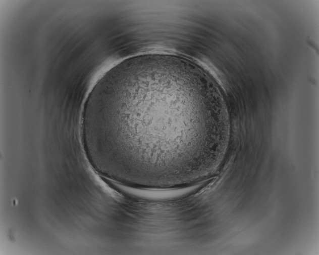 X0000097591379200802291208