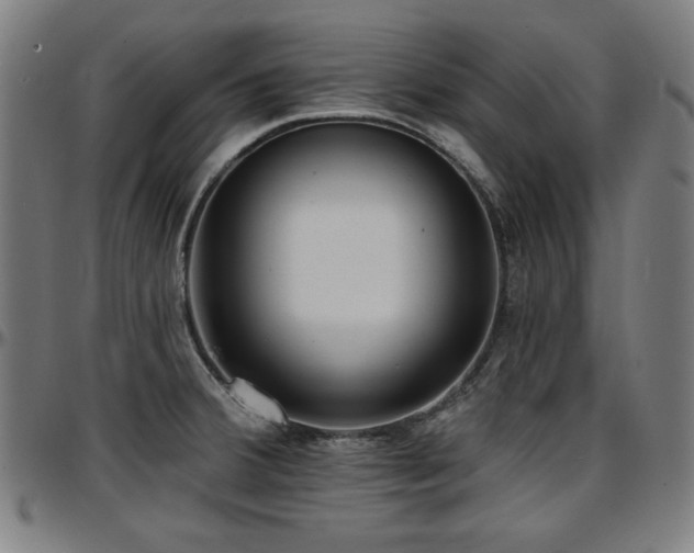 X0000097591380200802291208