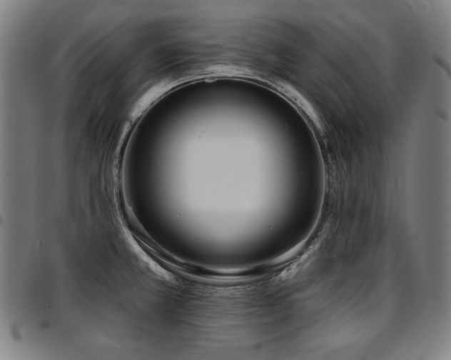 X0000097591381200802291208