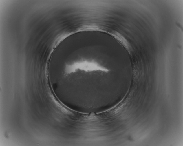 X0000097591382200802291208