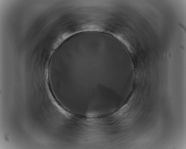 X0000097591383200802291208