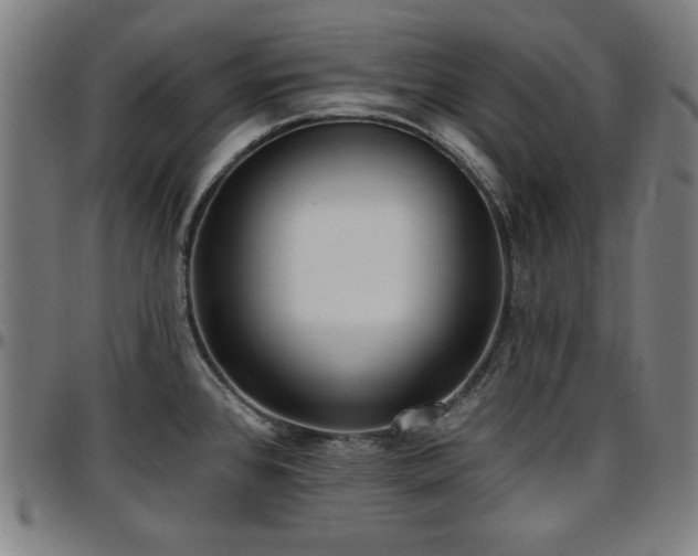 X0000097591384200802291208