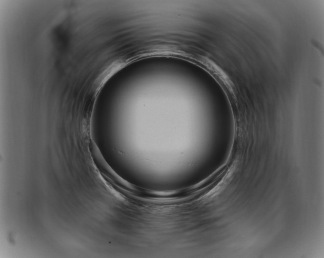 X0000097591385200802291208
