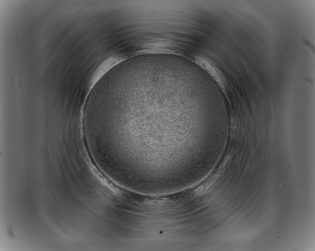 X0000097591386200802291208