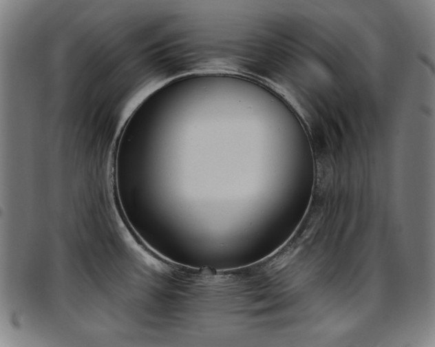 X0000097591387200802291208