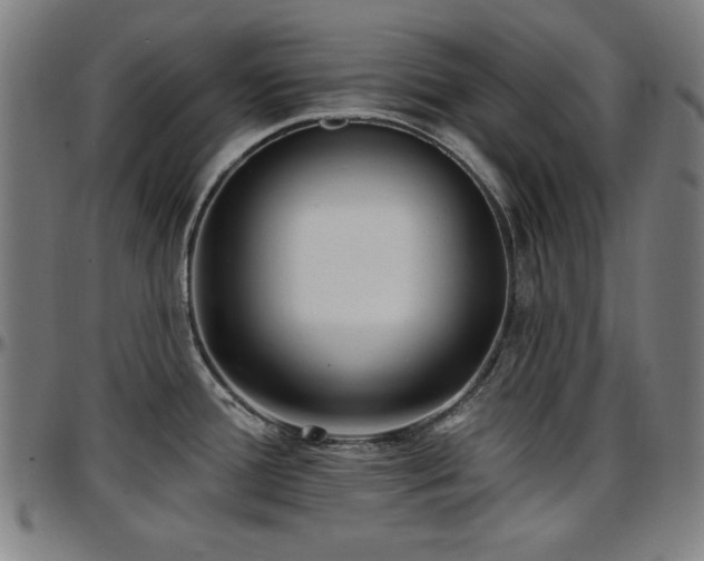 X0000097591388200802291208