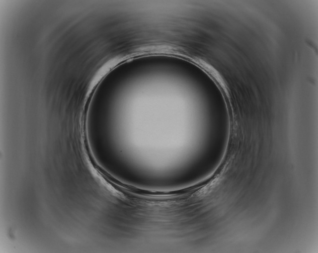 X0000097591389200802291208