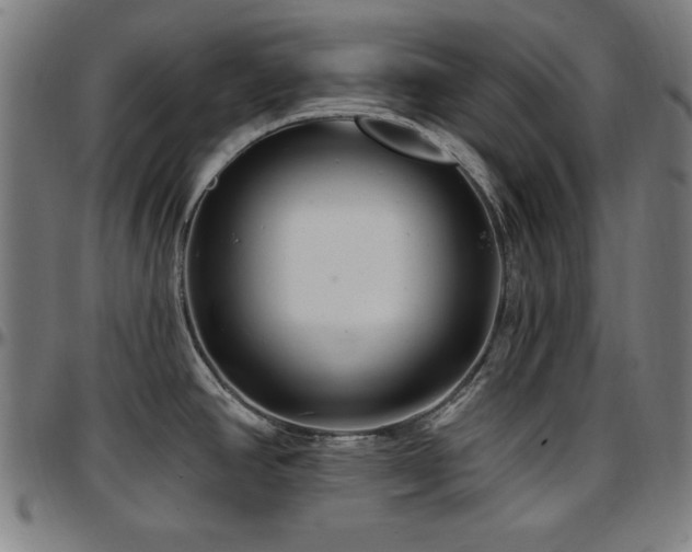 X0000097591390200802291208