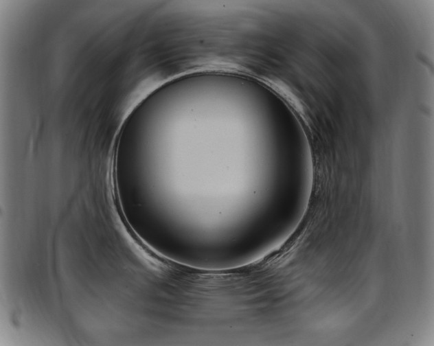 X0000097591391200802291208