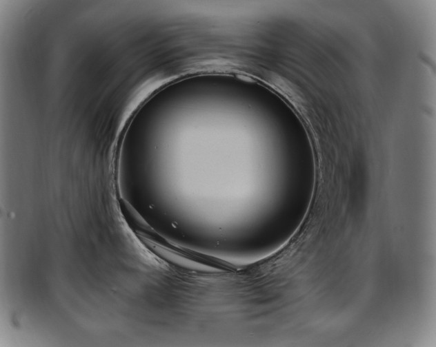 X0000097591392200802291208