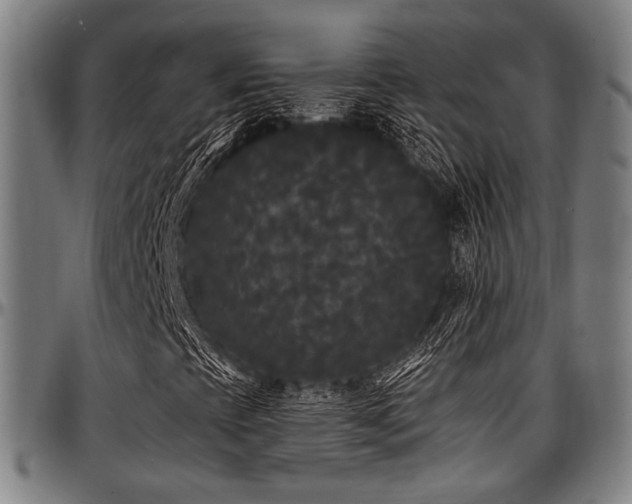 X0000097591393200802291207