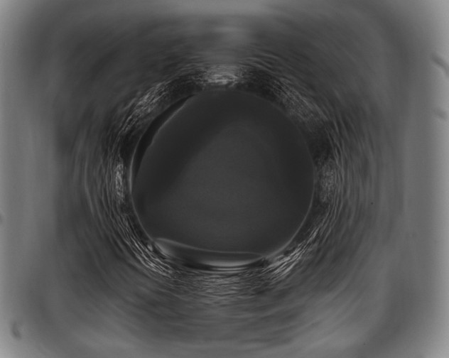 X0000097591394200802291207