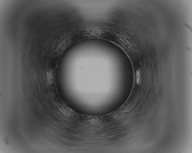 X0000097591395200802291207