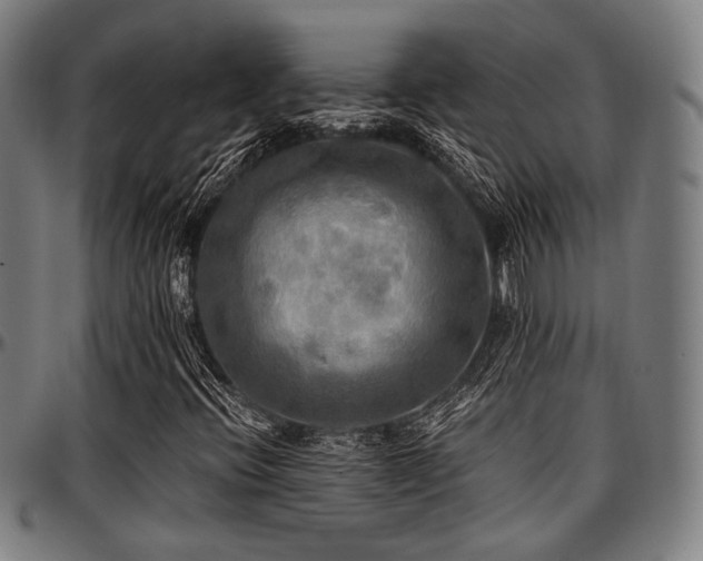 X0000097591396200802291207