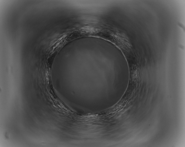 X0000097591397200802291207