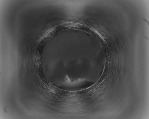 X0000097591399200802291207