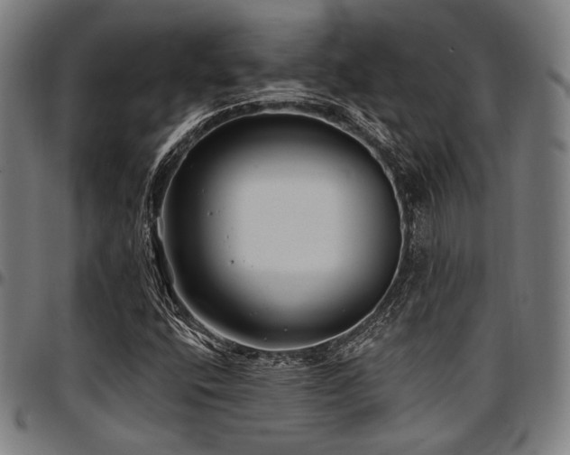 X0000097591400200802291208