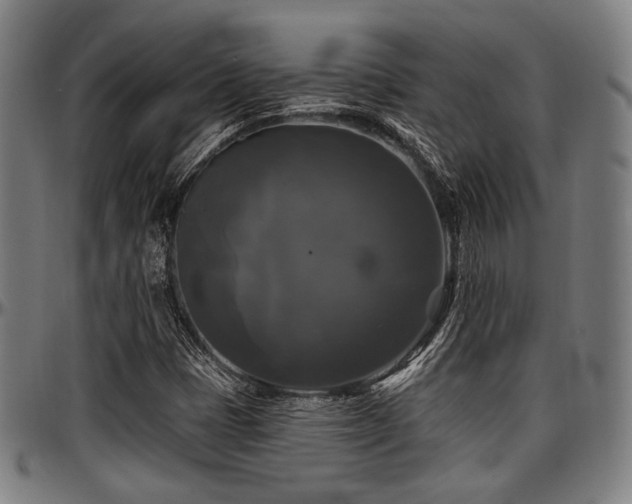 X0000097591401200802291208