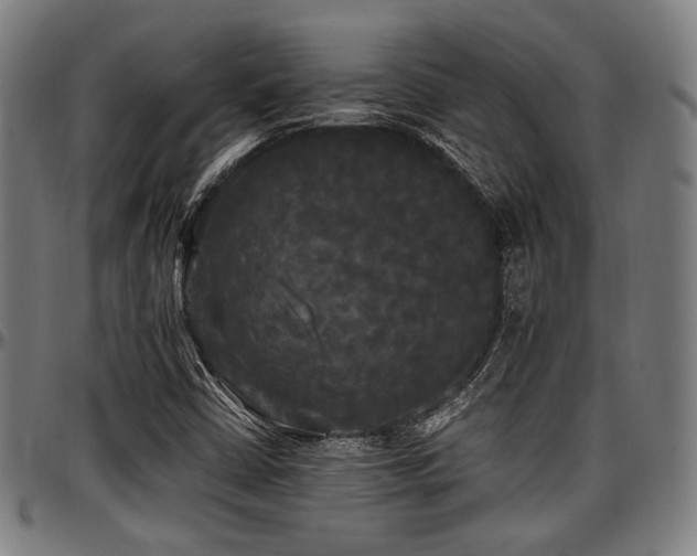 X0000097591402200802291208