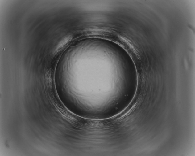 X0000097591403200802291208