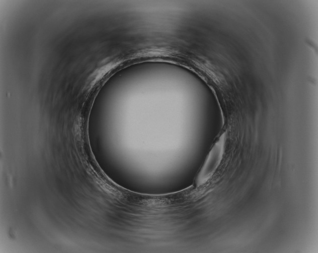 X0000097591404200802291208