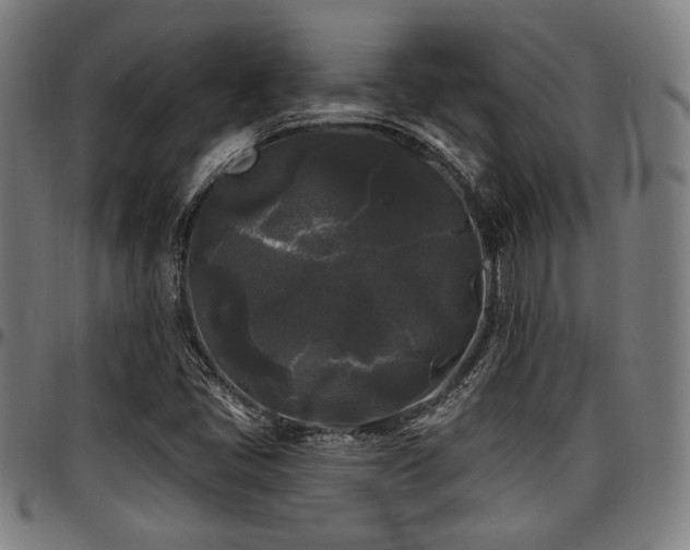 X0000097591405200802291208