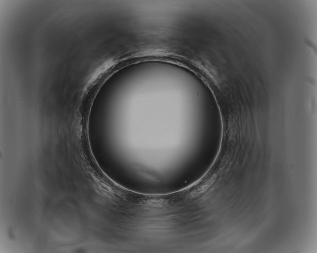 X0000097591406200802291208