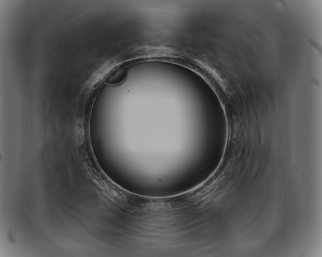 X0000097591407200802291208