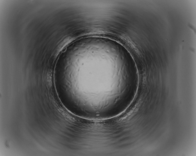 X0000097591409200802291208