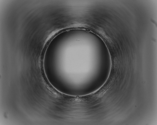 X0000097591412200802291208