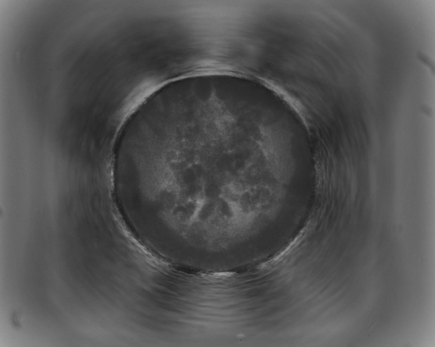 X0000097591415200802291208