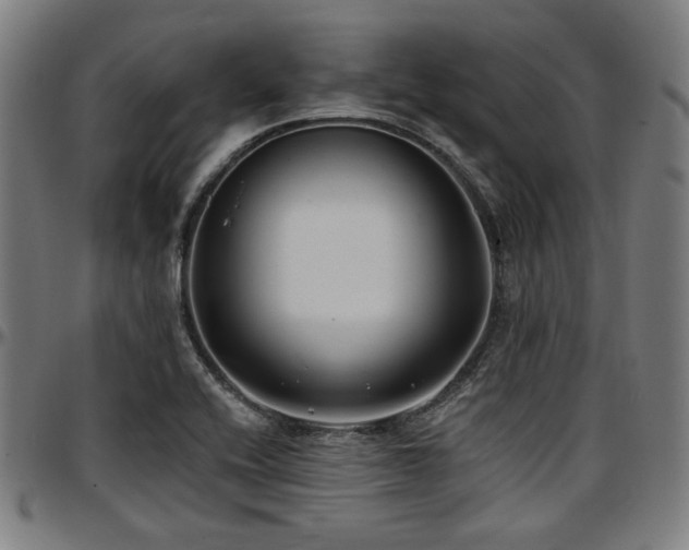 X0000097591416200802291208