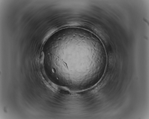 X0000097591417200802291208