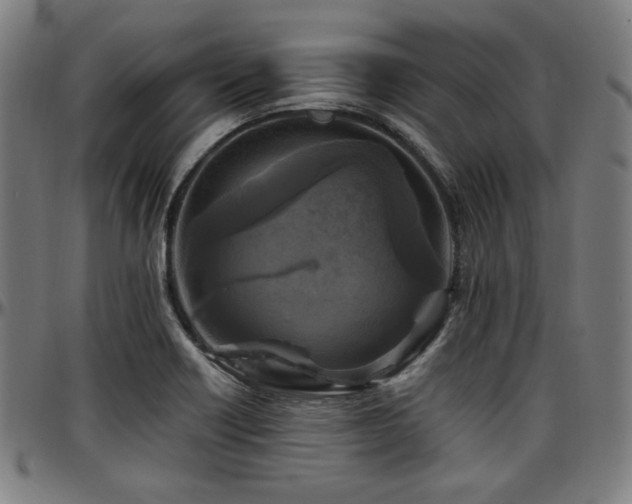 X0000097591418200802291208