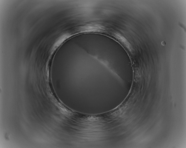 X0000097591419200802291208