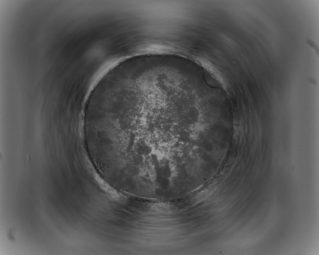 X0000097591421200802291208