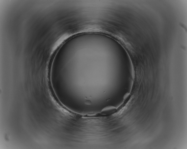 X0000097591422200802291208