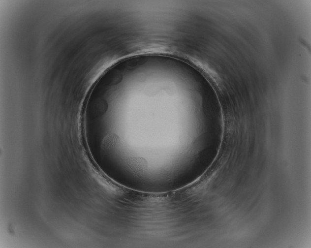 X0000097591423200802291208