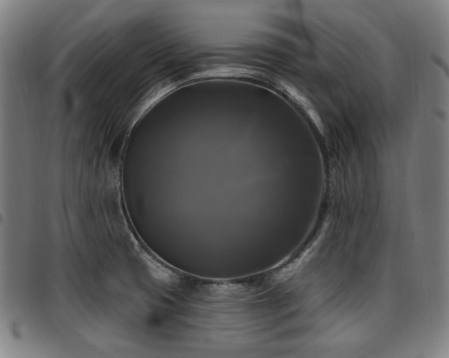 X0000097591425200802291208