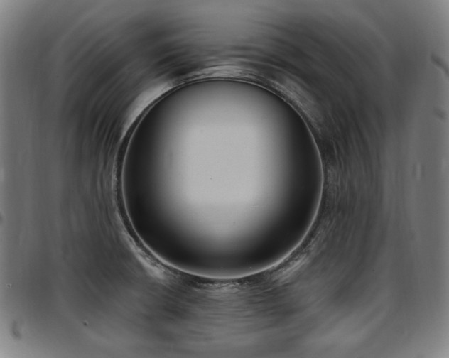 X0000097591426200802291208