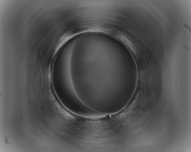 X0000097591428200802291208