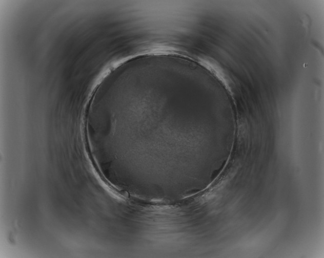 X0000097591429200802291208