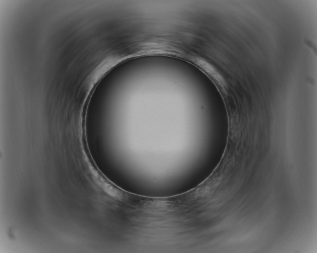 X0000097591431200802291208