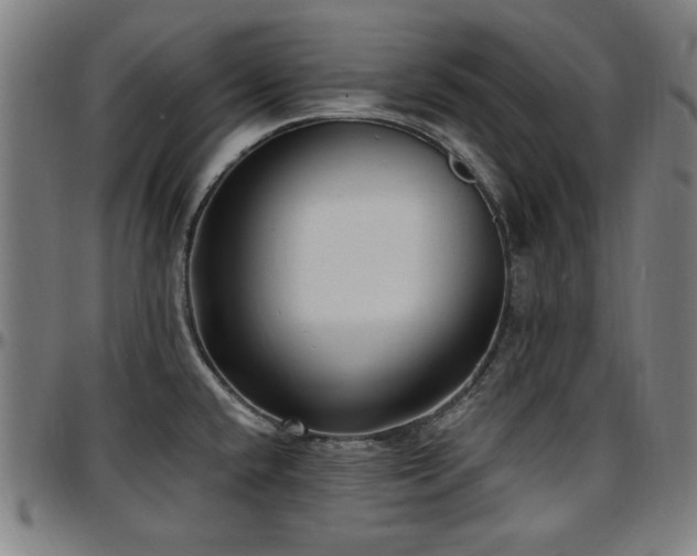 X0000097591432200802291208