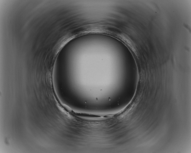 X0000097591433200802291208