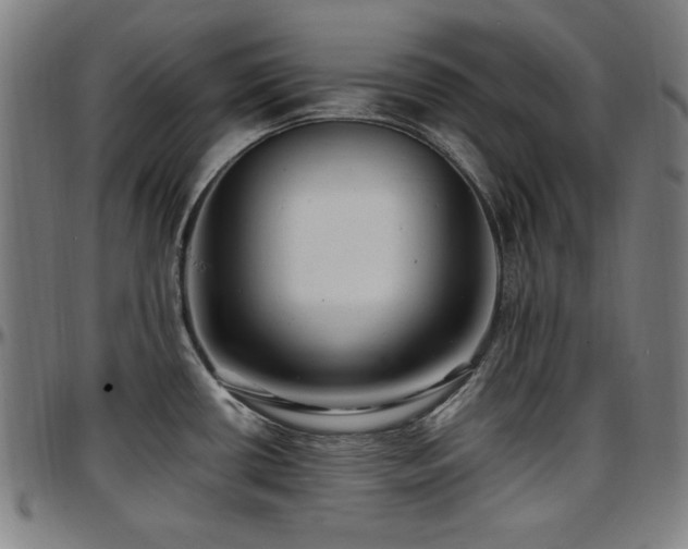 X0000097591434200802291208